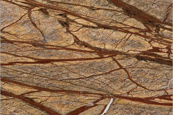 Rain Forest Brown Marble Exporter