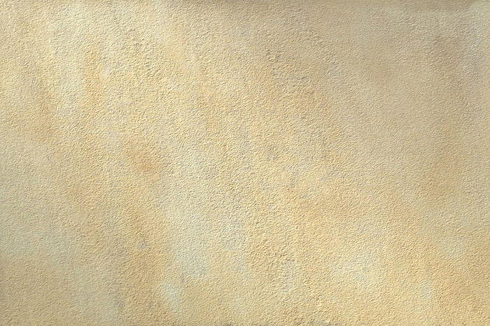 Fossil Mint sandstone